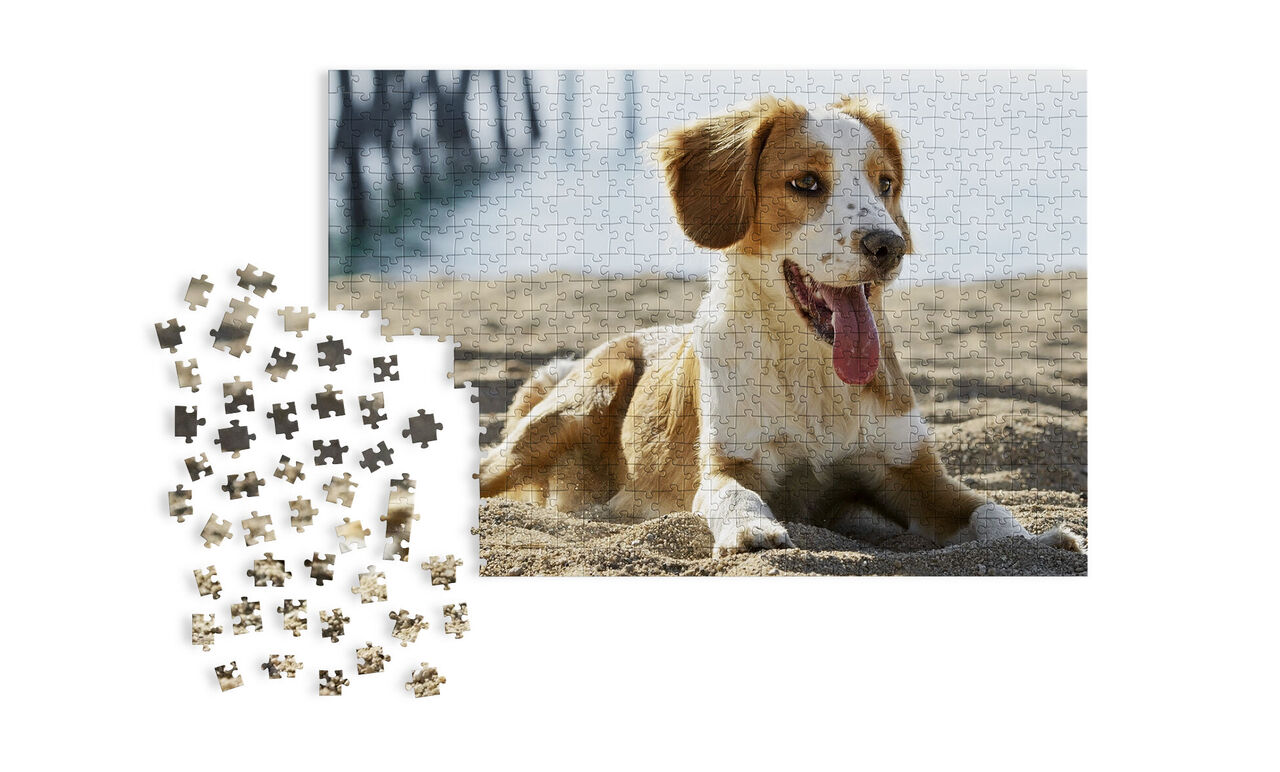 Un puzzle avec un chien dans le sable à la plage, des pièces sont éparpillées devant